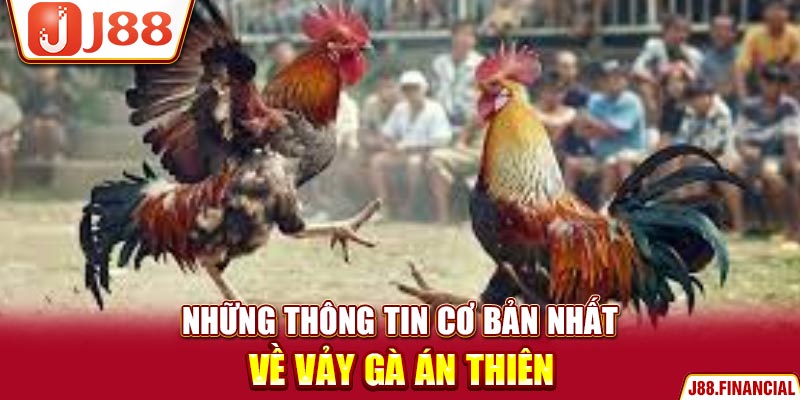 nhung-thong-tin-co-ban-nhat-ve-vay-ga-an-thien