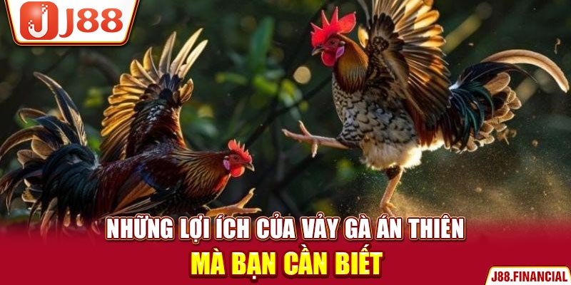 nhung-loi-ich-cua-vay-ga-an-thien-ma-ban-can-biet